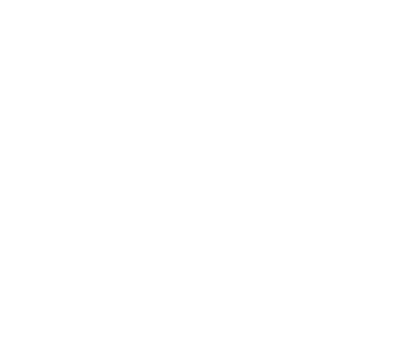 Logo Sonty